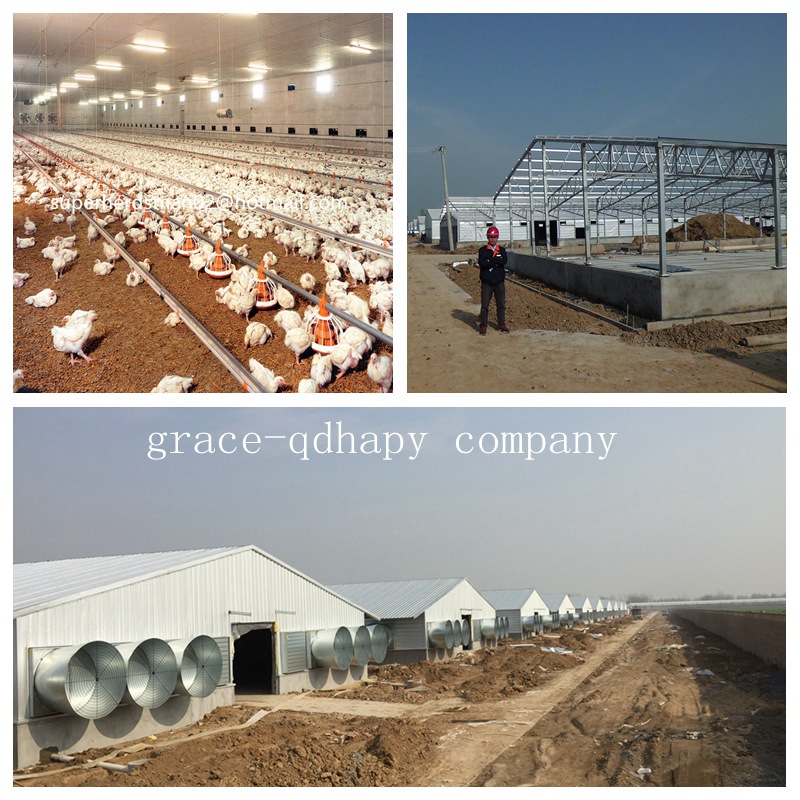 Steel Structure Chicken Farm House for modern Farm