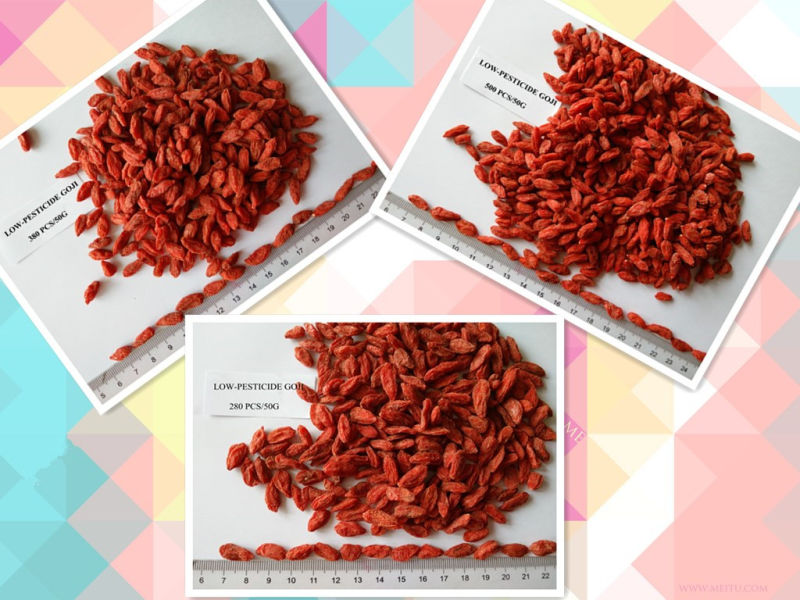 High Quality Low-Pesticide Goji Super Fruit