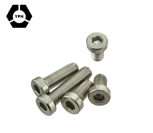 Ss304 Screw DIN7984 Hex Socket Thin Head Cap Screw