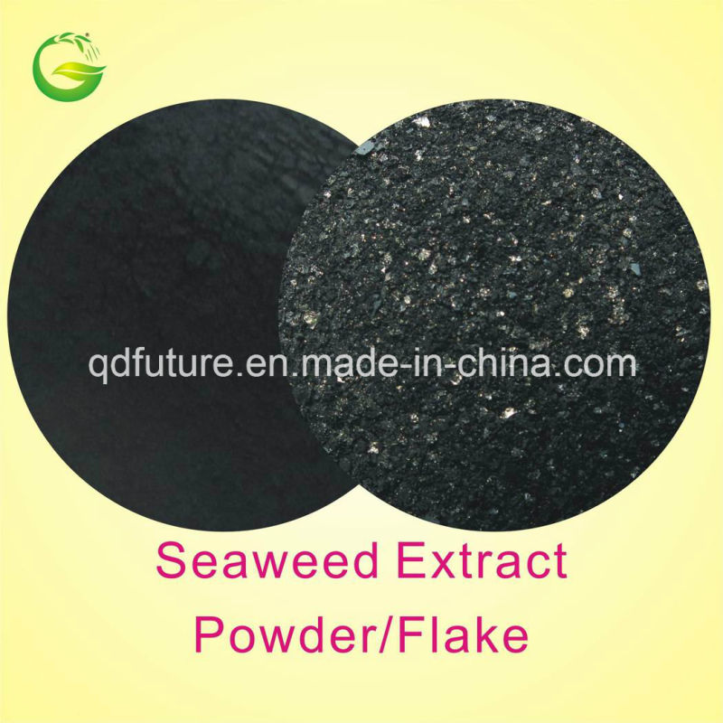 Ascophyllum Nodosum Extracted Seaweed Powder Fertilizer