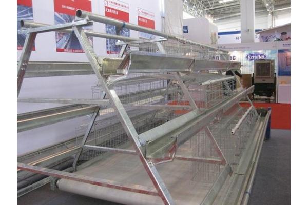 Chicken Cage for Laying/Broiler