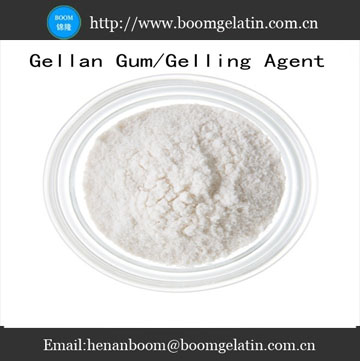 Gelrite Low Acyl / High Acyl Gellan Gum Food Additve