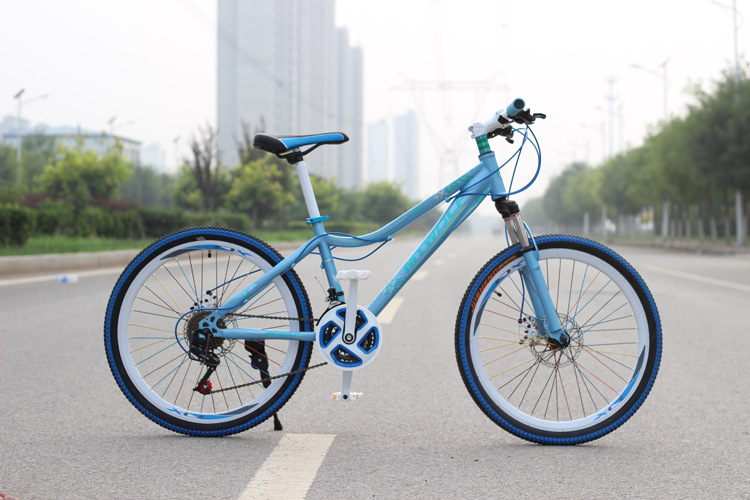 Hot Sale Cheap City Bike Lady Bike Women Bicycles