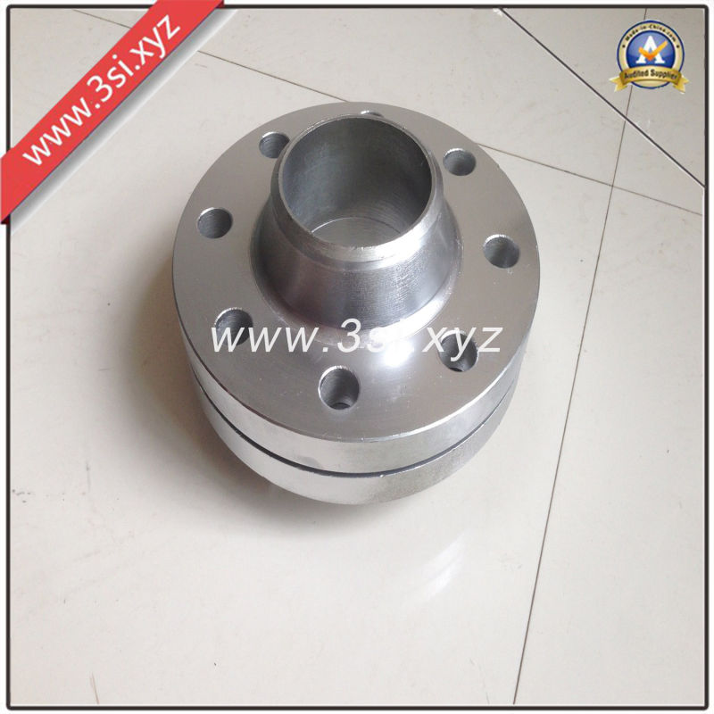 Quality Forged Stainless Steel Welding Neck Flange (YZF-E383)