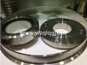 Forged Stainless Steel Pipe Fittings Flange