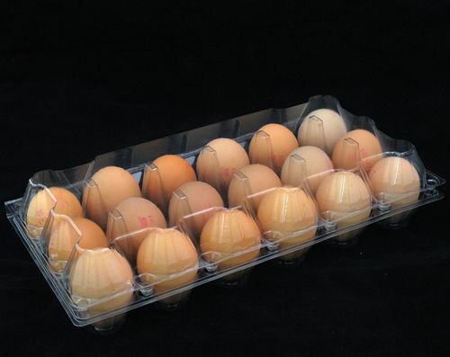 China Supply Hatching Chicken Eggs Plastic Egg Tray