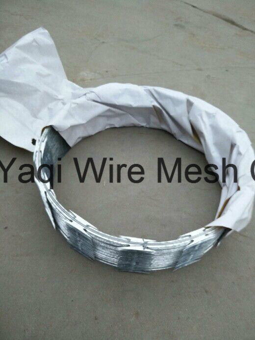 High Tensile 900m Coil Razor Barbed Wire Factory Low Price