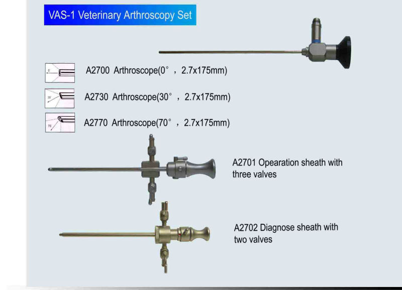 Veterinary Arthroscope/Vet Arthroscope (VAS-1)