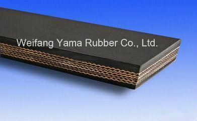 Nylon Rubber Coneyor Belt Width 1000mm and 2200mm