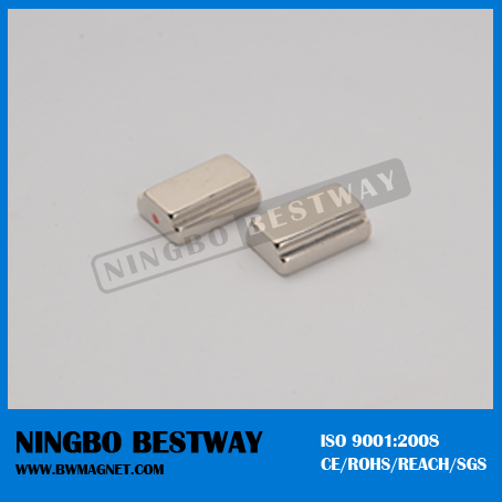 China Customer Shape NdFeB Magnets