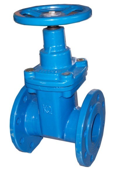 DIN Standard Cast Iron Gate Valve (Z41F)