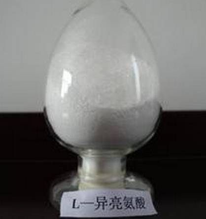 Pharmaceutical Grade L-Isoleucine/Isoleucine