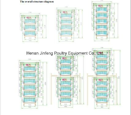 H Type Automatic/Semi Automatic Poultry Equipment for Layer Broiler Chicken Farm