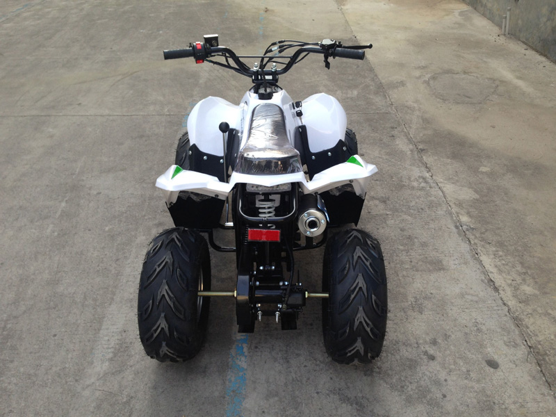 49cc Mini Quad ATV