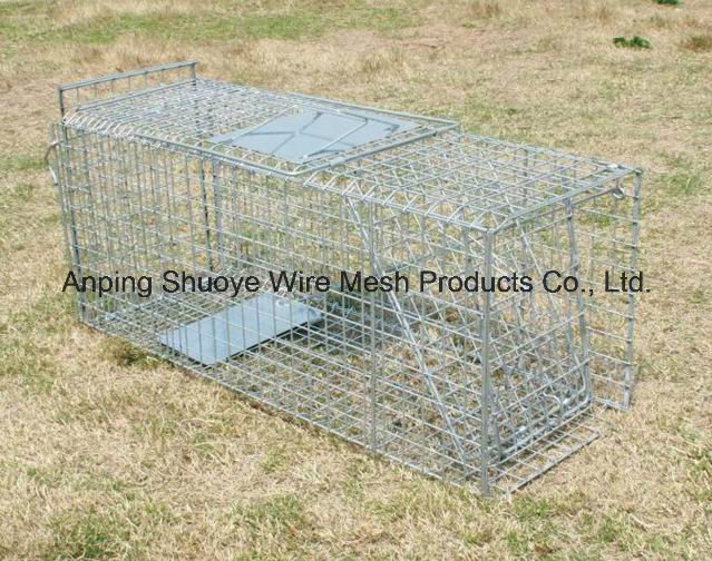 2016 Hot Sale Folding Collapsible Fox Trap Cages