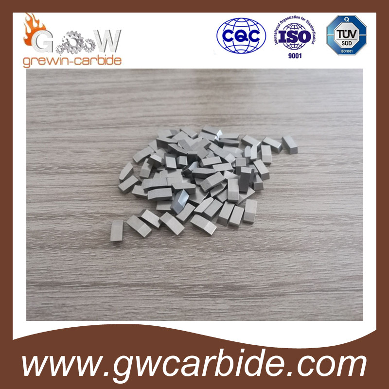 Tungsten Carbide Saw Tips with High Quality and Various Sizes