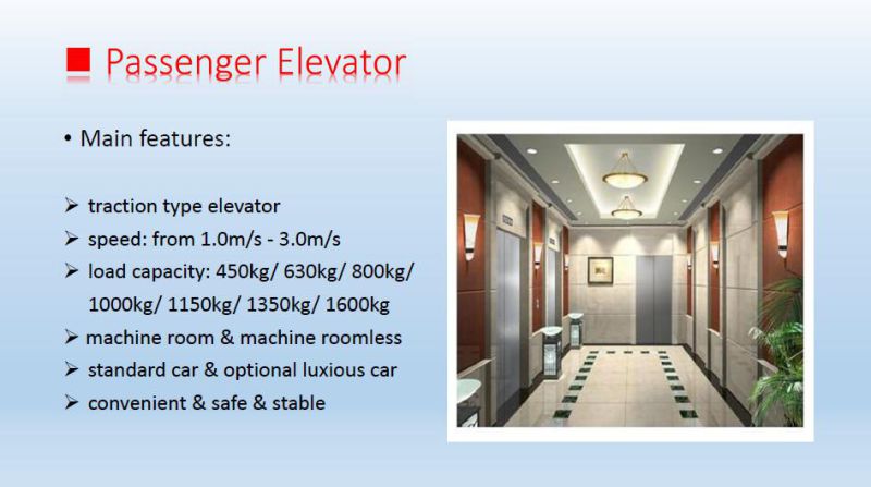 Stable 450kg Cheap Price Passenger Elevator