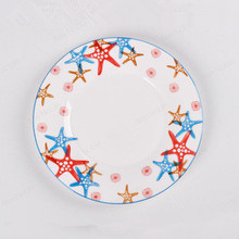 Kitchenware Enamel Dinner Salad Dessert Dish Plate/Snack Disc