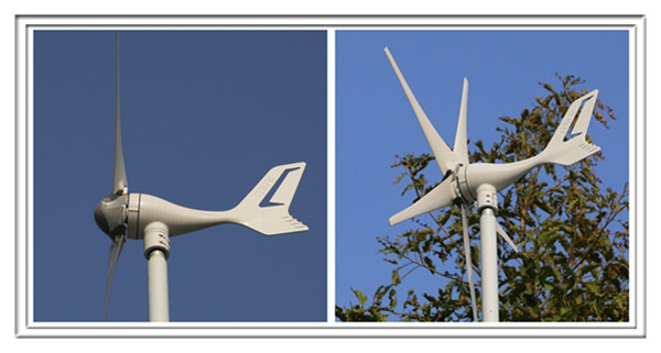 Small Size Wind Power Genarator