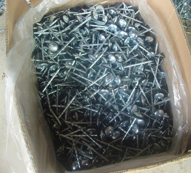 Galvanized Roofing Nails