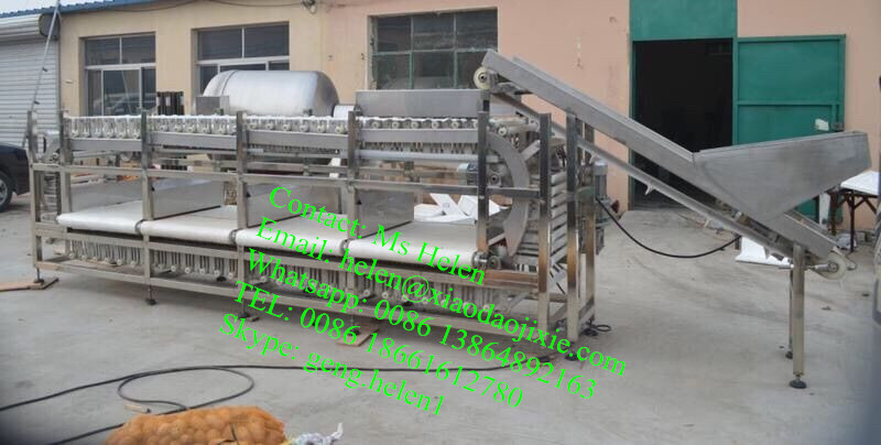 Small Capacity Potato and Apple Washing Sorting Line