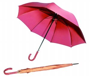 Auto Open Pure Color Straight Umbrella (BD-19)