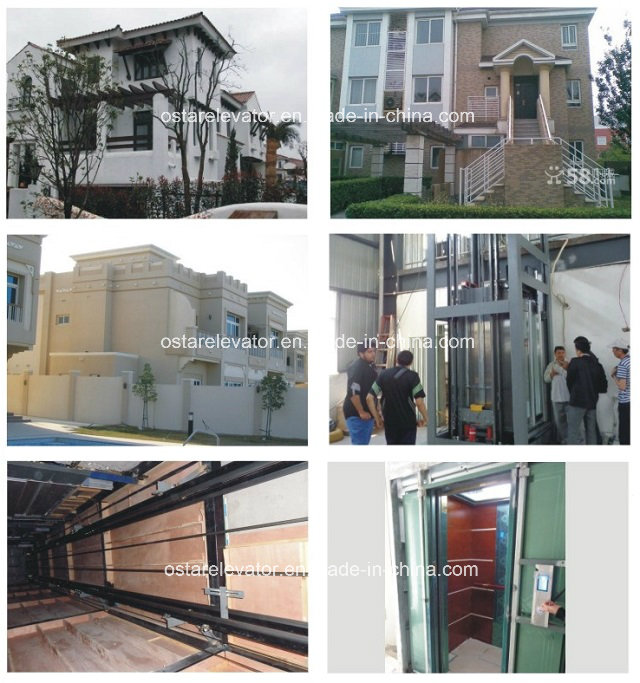 Economic Energy-Saving Home Elevator, Passenger Elevator with Small Loading