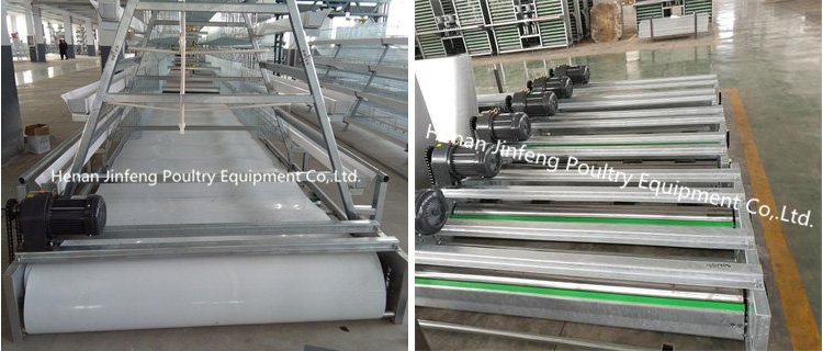 Q235 Steel Wire Layer Chicken Cage Design