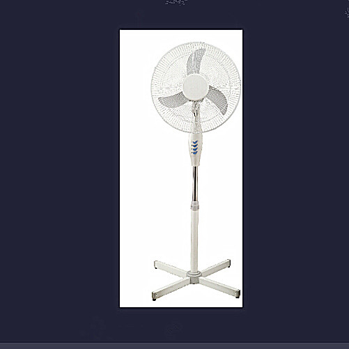 Stand Fan