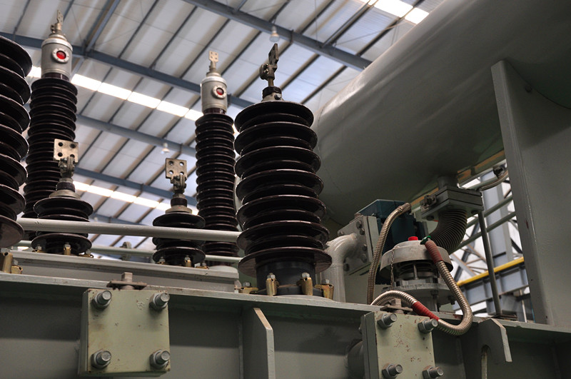 220 Kv Oil-Immersed Distribution Power Transformer for Power Supply