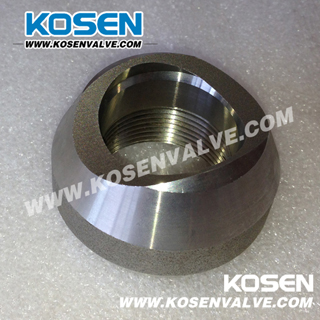 Stainless Steel Pipe Fitting Outlet (Thread)