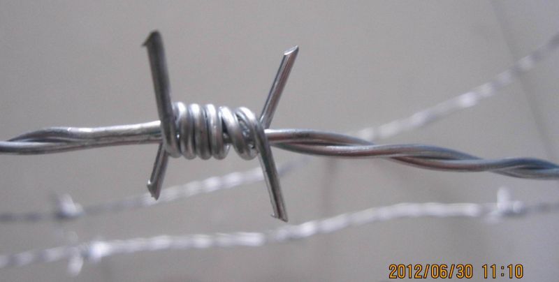 Galvanized Barbed Wire for Fencing