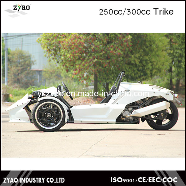 EEC 3 Wheel Motorcycle 250cc Racing Trike