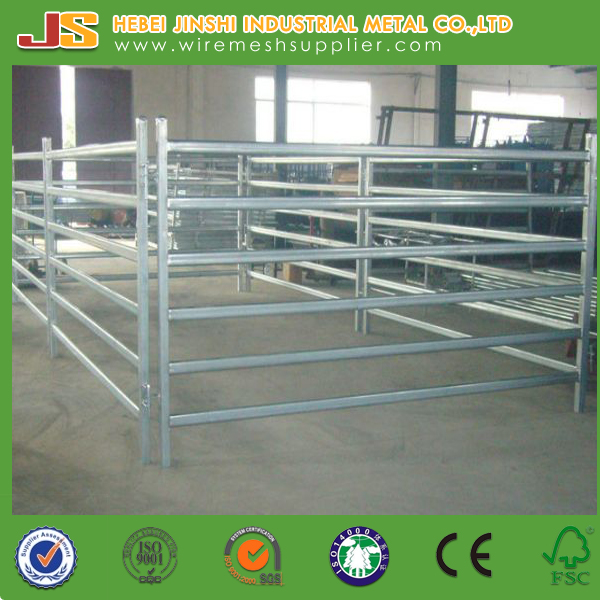 Australia & New Zealand Farm Used Galvanized Pipe Cattle Fence Panel