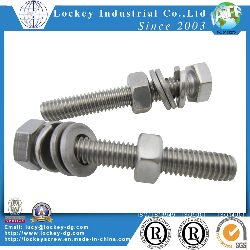 Stainless Steel Hex Bolt with Hex Nut and Washer