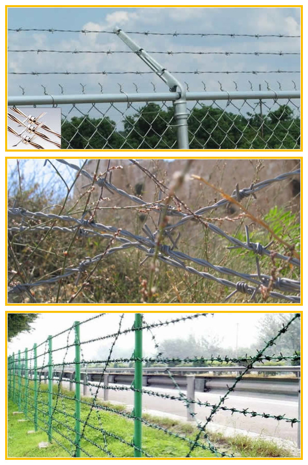 2016 New Electro Galvanized Barbed Wire with Handle