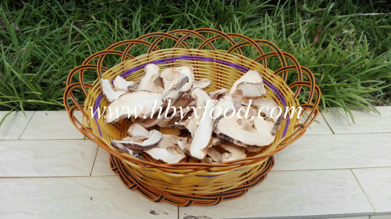 Natural Green Food Lower Price Dried Champignon Mushroom Slice