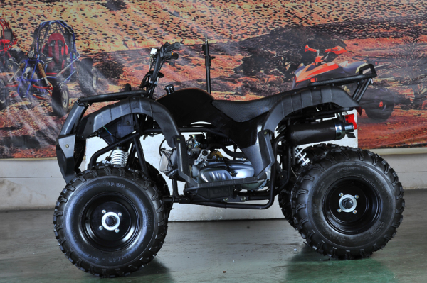 Automatic 4 Wheels Quad Bike ATV with Reverse (MDL 150AUG)