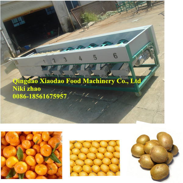 Vegetable and Fruit Sorting Machine/Grading Machine