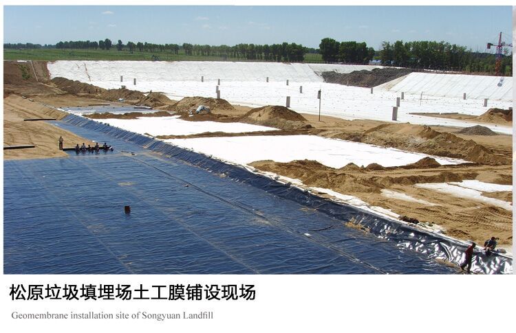 HDPE Geomembrane Suitable Water Conservancy Projects Price Waterproof Membrane