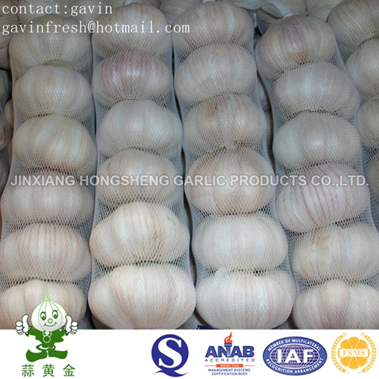 Normal White Garlic Packing in 10kgs Loose Carton Box