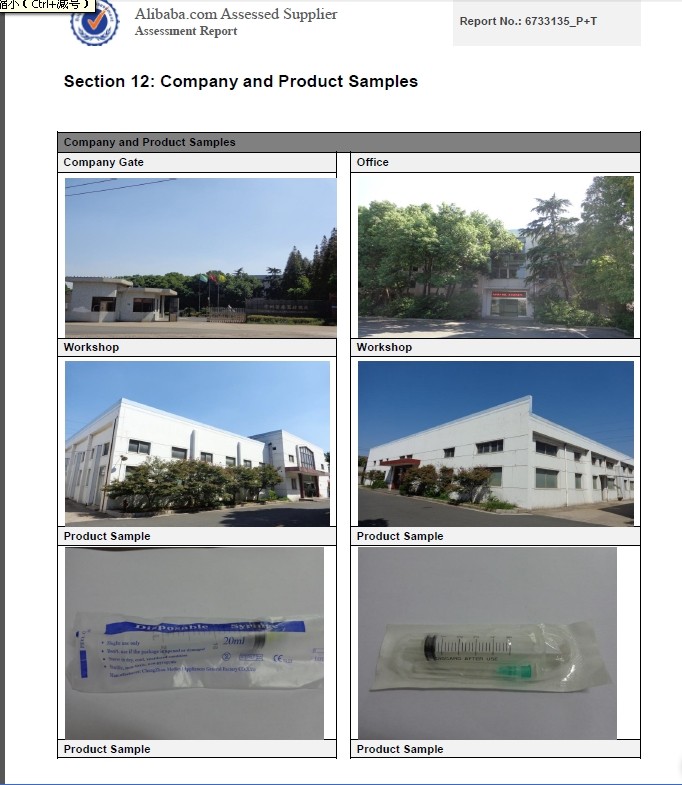 Disposable Syringe with CE ISO SGS GMP TUV