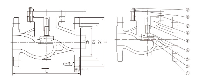 DIN Cast Steel Flanged Lift Check Valve