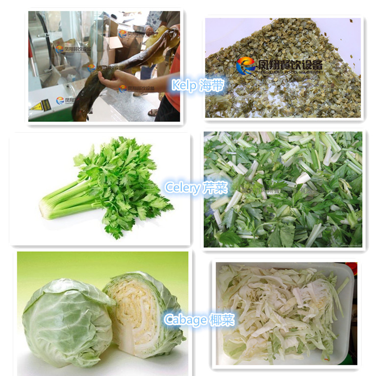 Spinach/Cabbage/Water Convolvulus Cutter Cutting Machine, Lettuce/Leaf Vegetable Chopper Chopping Machine