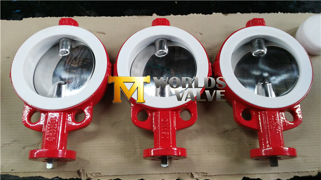 Dn150 Cast Iron Body Wafer Butterfly Valve with Seat in PTFE