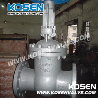 GOST Cast Steel Gate Valves Pn63 (Z40)