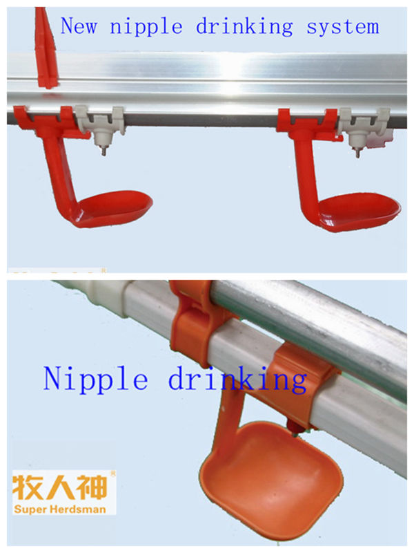 Device Doser in Nipple Drinking System in Poultry House