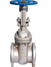 API 600 OS&Y Flanged Cast Steel Gate Valve