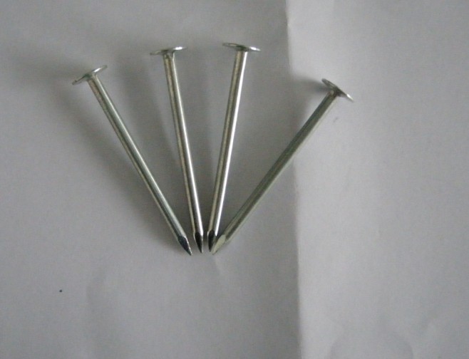 Common Wire Nail