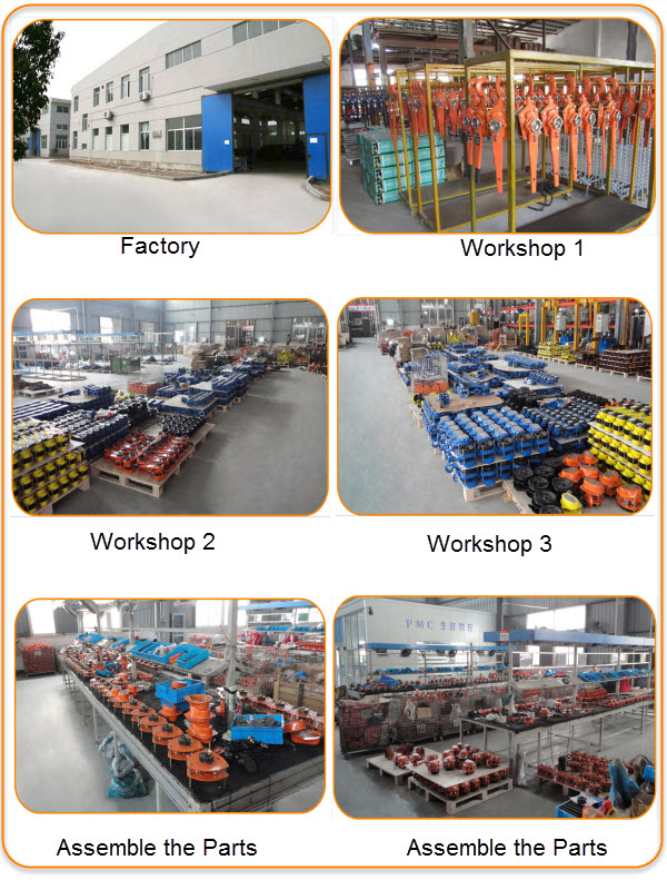 High Quality Manual Hitachi Hoist (CH-WB)